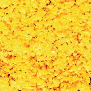 LK Baits Partikl IQ Method Feeder Turbo Mix 1,5kg - Corn Honey