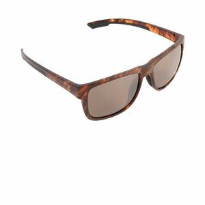 Avid Brýle SeeThru TS Classic Polarised Sunglasses